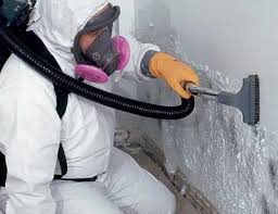 Why You Should Choose Our Mold Remediation Services in Linden, NJ